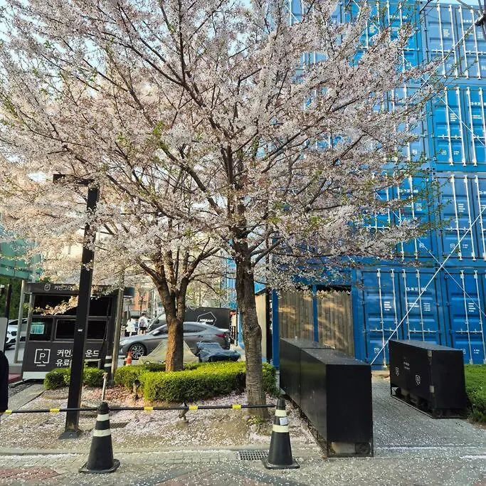 Little Ground Apartment Seoul